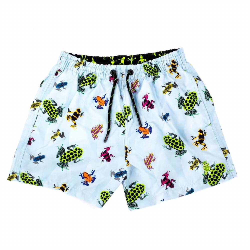 NEW EIGHT X men's cannes swim trunks in blue